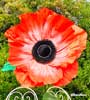 Anemoni 1 stelo