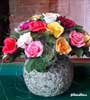 Composizione Rose