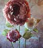 Peonie 3 steli