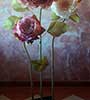 Peonie 3 steli