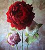 Peonie 3 steli