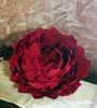 Peonie