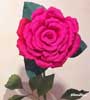 Rose 1 stelo