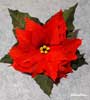 Stelle di Natale
